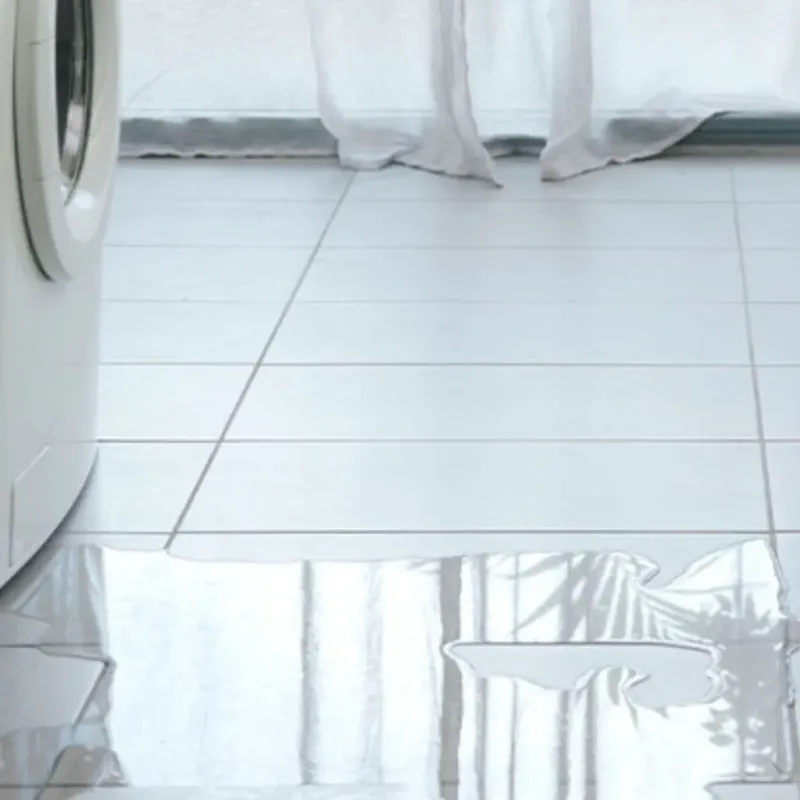 Appliance Leak Cleanup in Ashland, VA