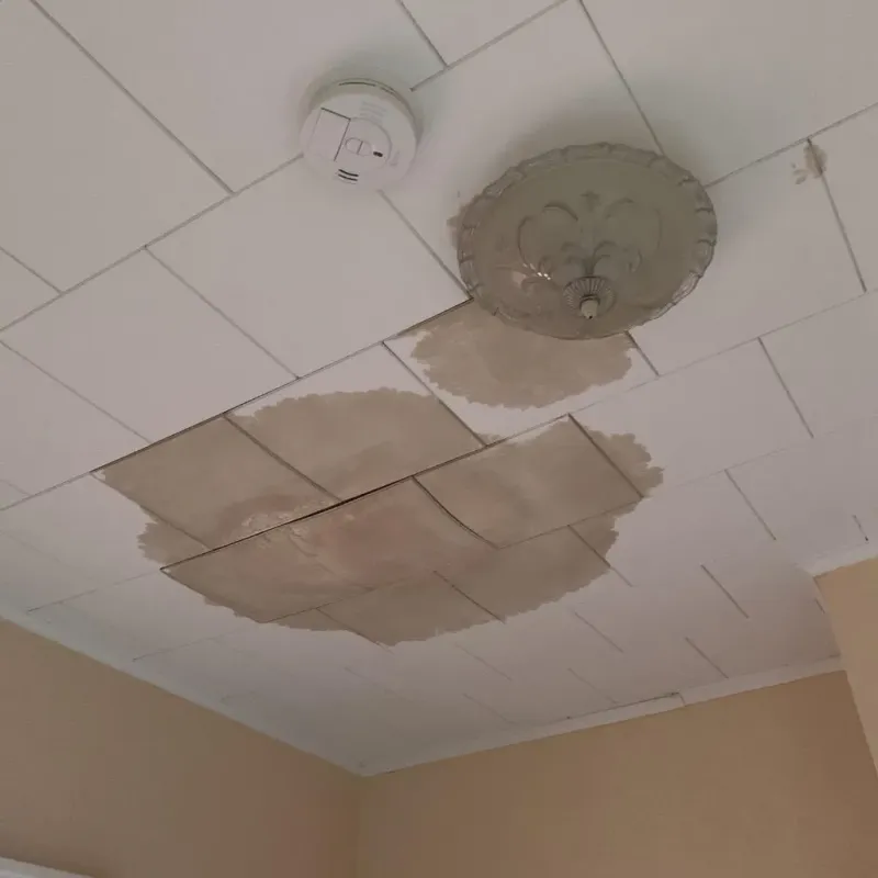 Ceiling Water Damage Repair in Ashland, VA