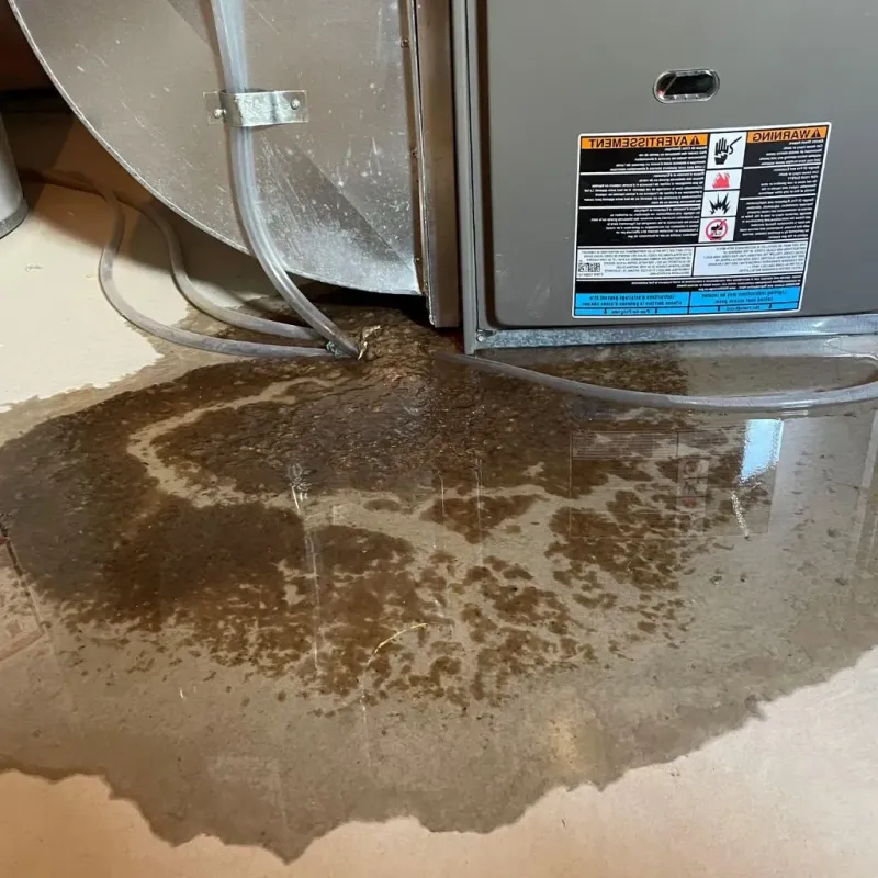 Pipe Burst and Leak Restoration in Ashland, VA